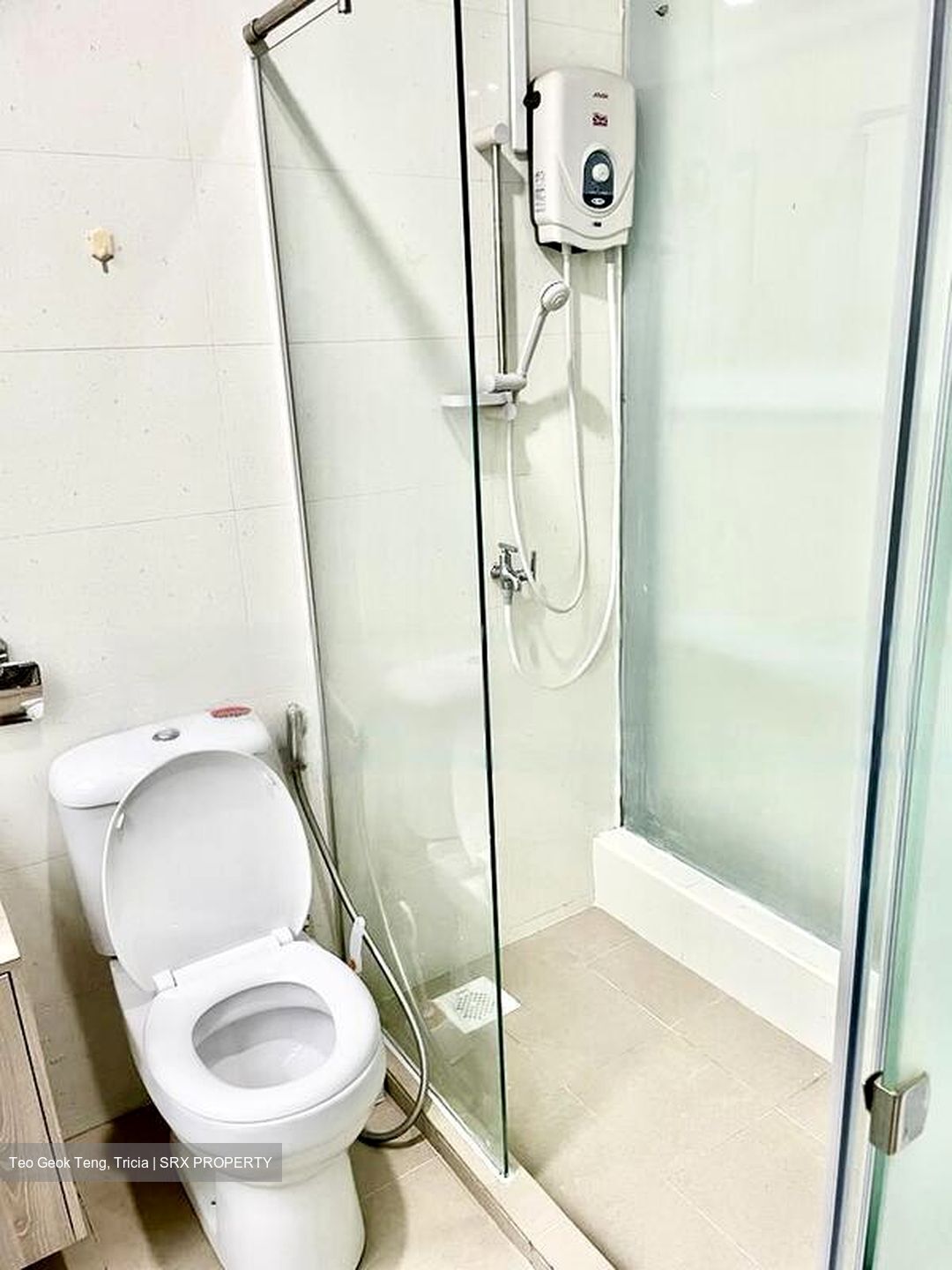 Verdun Road (D8), Apartment #481270121